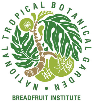 Bfi-ntbg logo 1x1